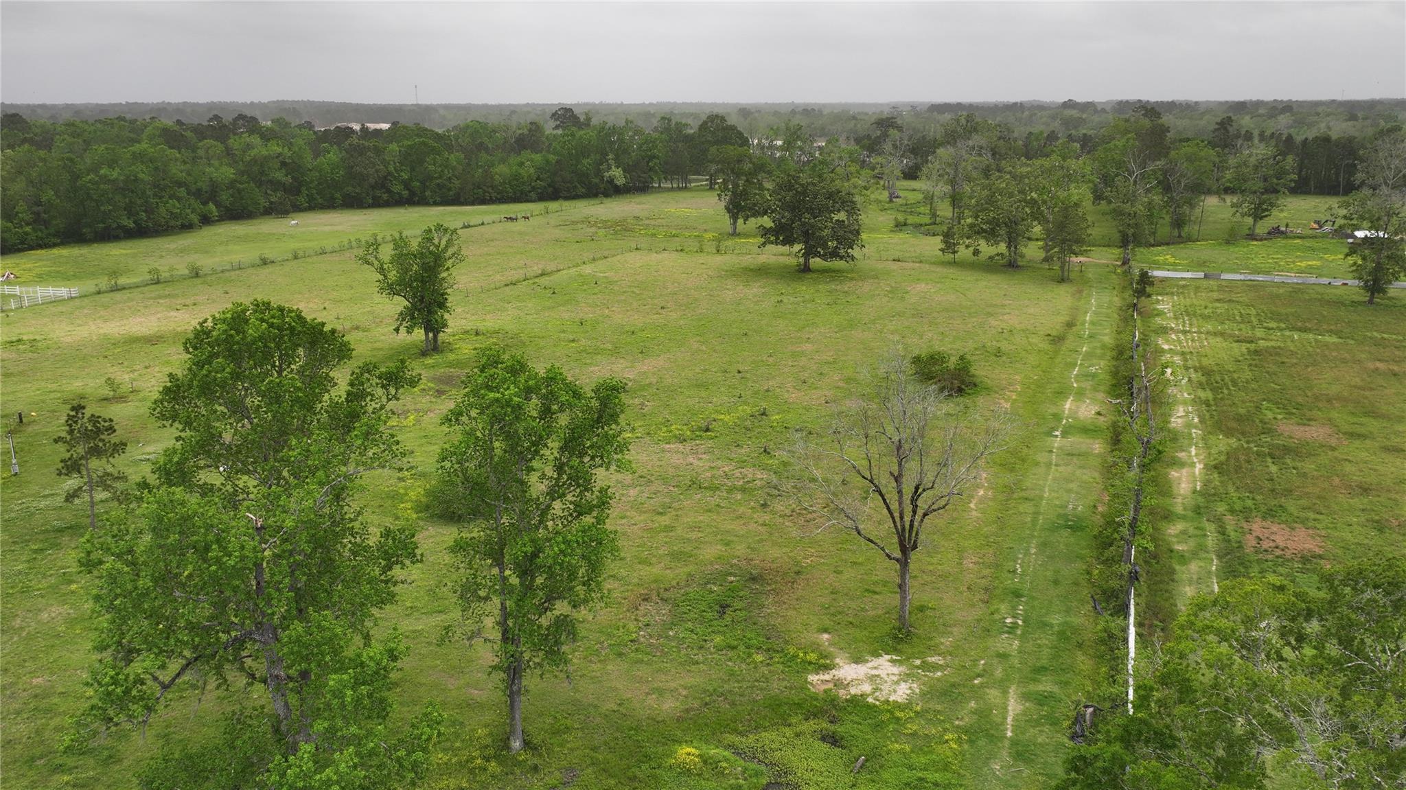 Property Photo: 1244 County Road 332 Tract 4 TX 77327
