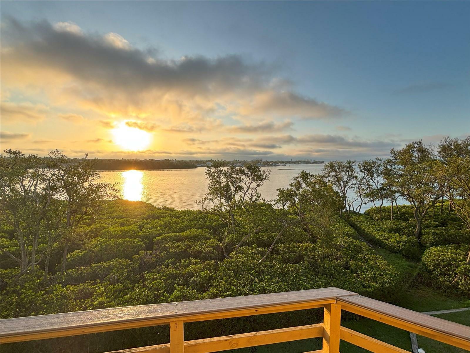 Property Photo: 1720 Lighthouse Terrace S 8 FL 33707