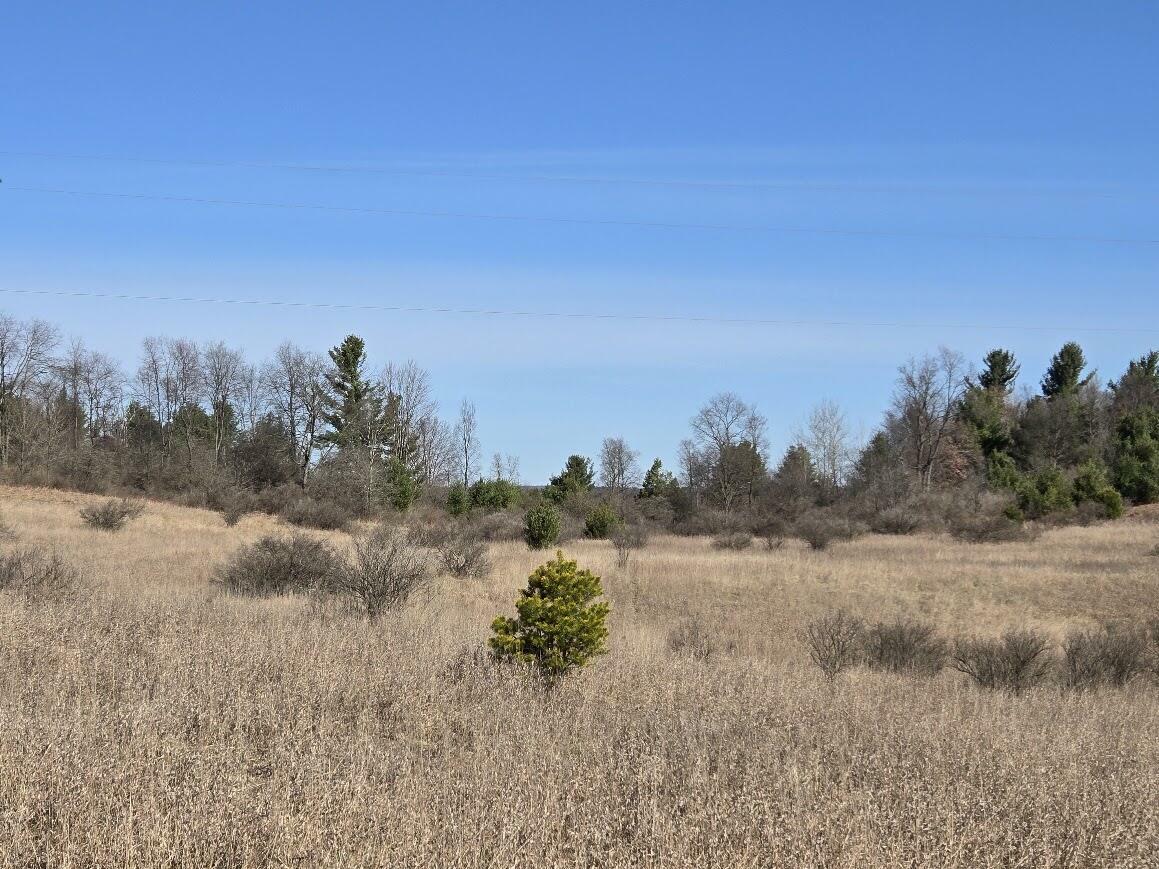 Property Photo: 21400 21 Mile Road MI 49338