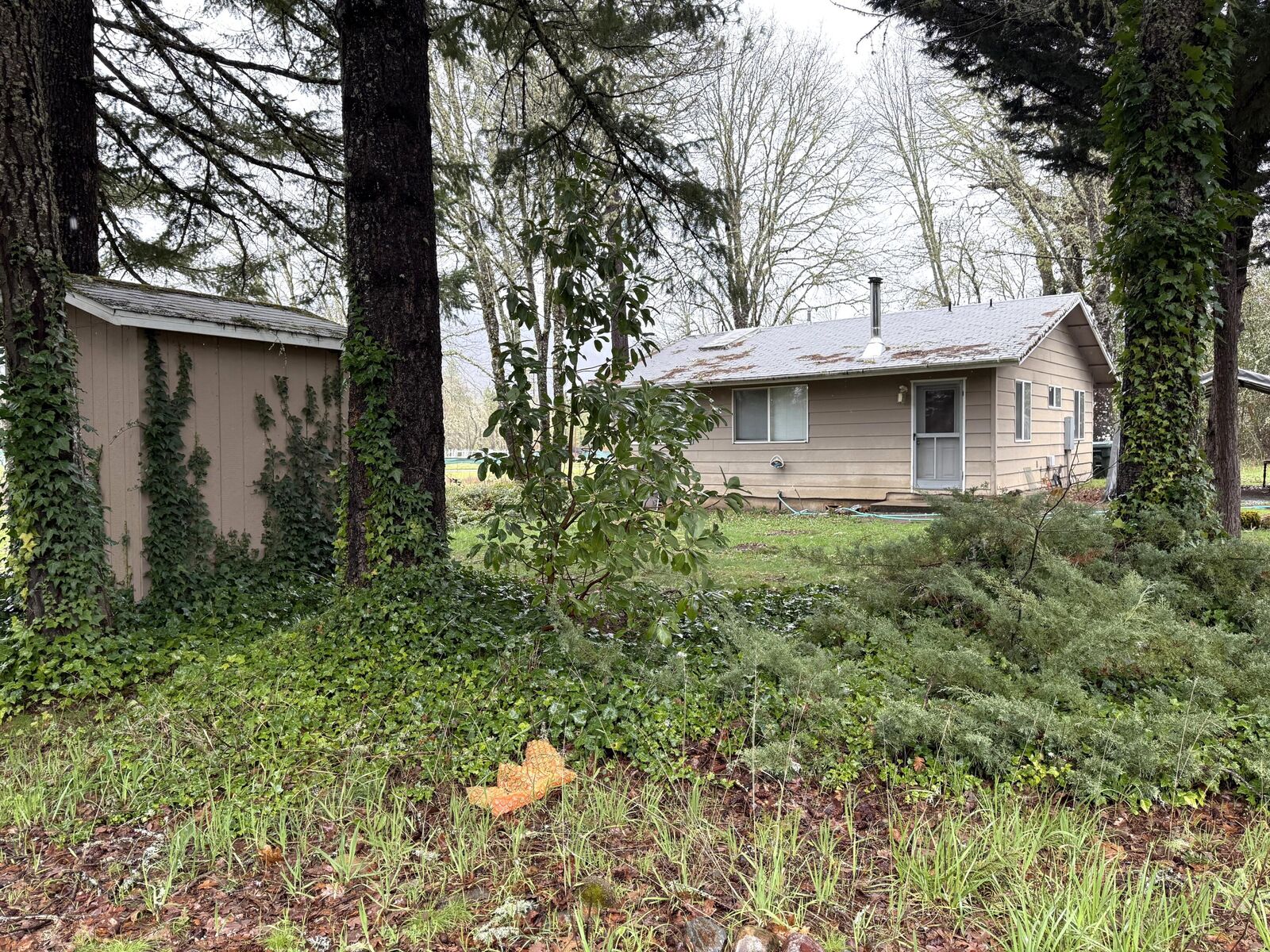 Property Photo: 23770 Redwood Highway OR 97531
