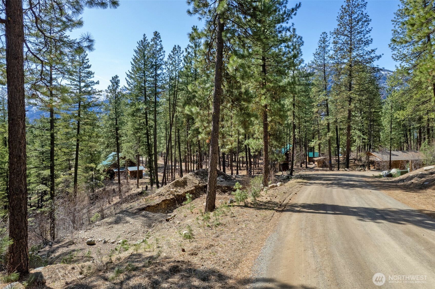 Property Photo:  94  Homestead Road  WA 98862 