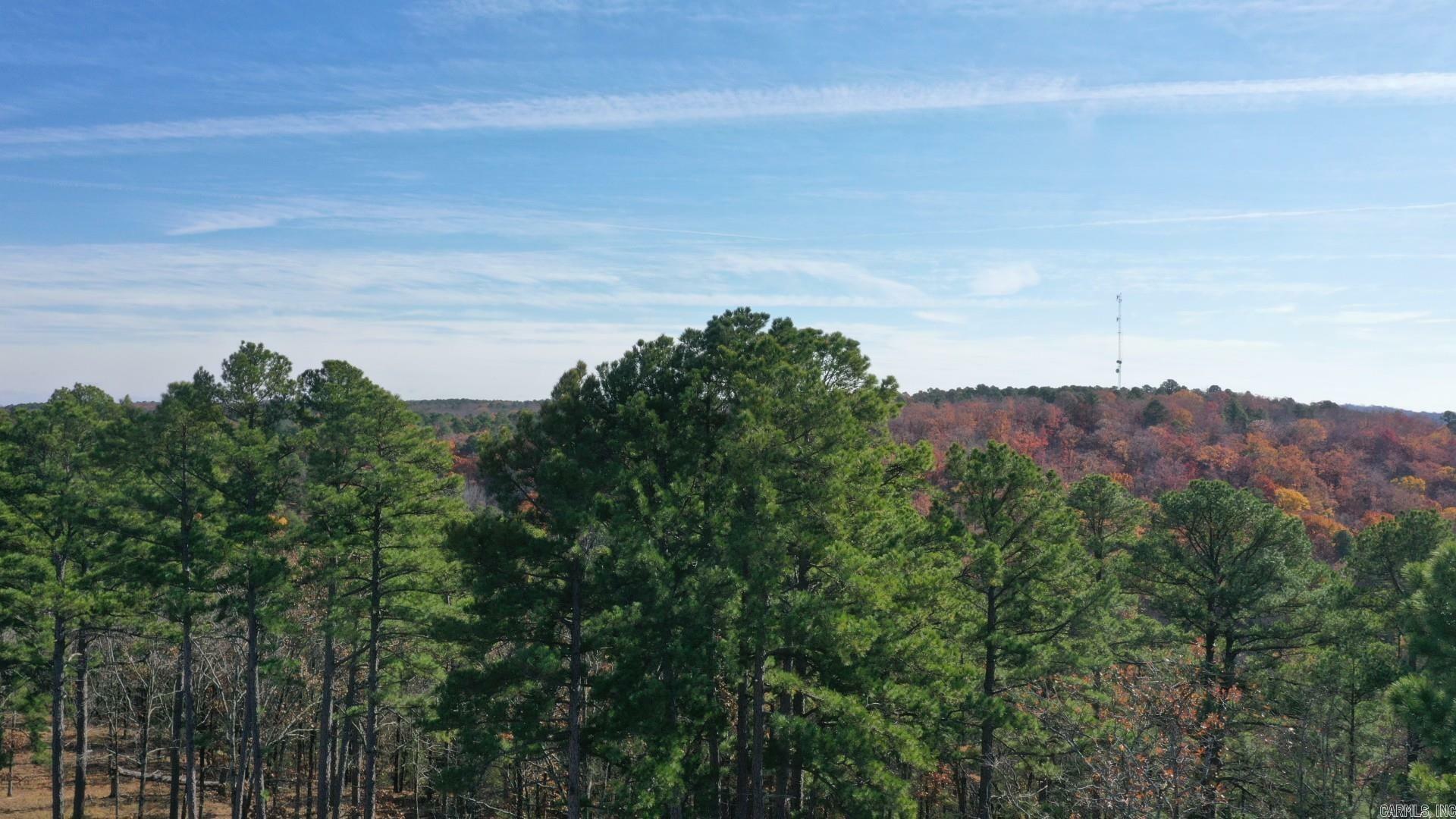 Lot 6 Orchard Hill Ph 4  Conway AR 72034 photo