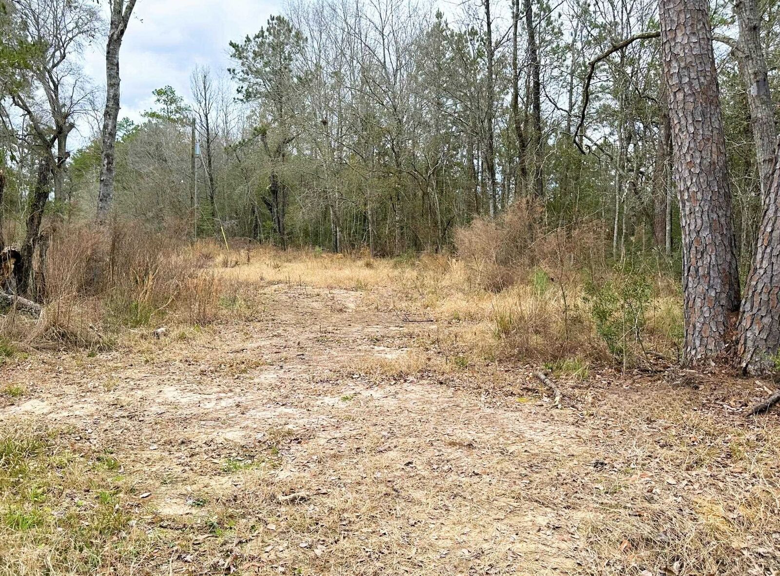 Property Photo: 12280 Pelt Rd. TX 77625