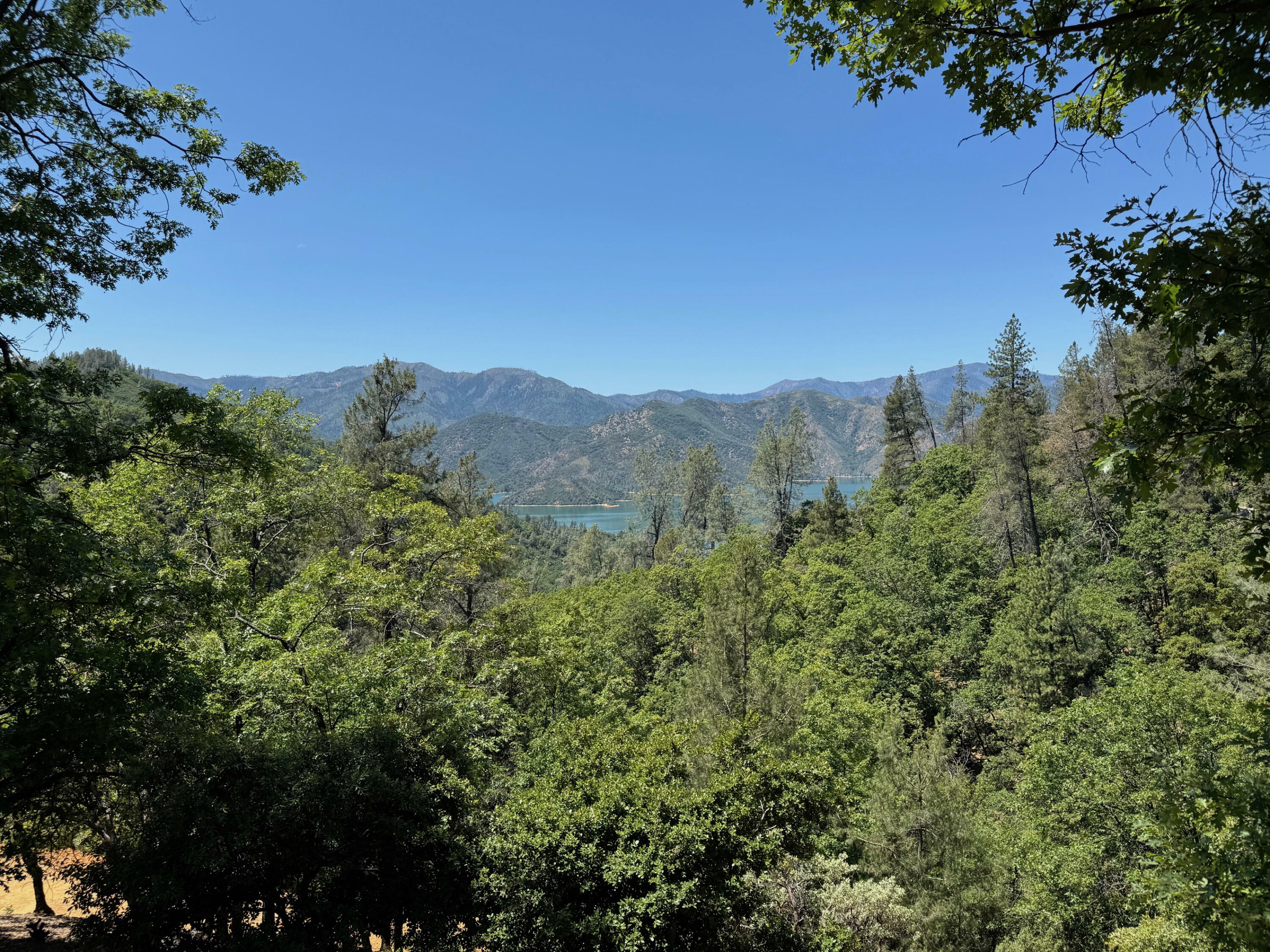 Property Photo: Little Doe Rdg CA 96051