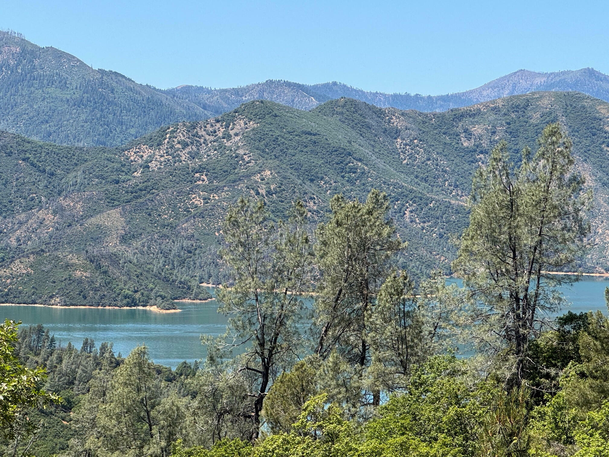 Property Photo:  Little Doe Rdg  CA 96051 