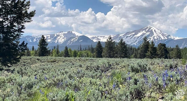 Property Photo:  4913 Pinecrest Rd 313  UT 84036 