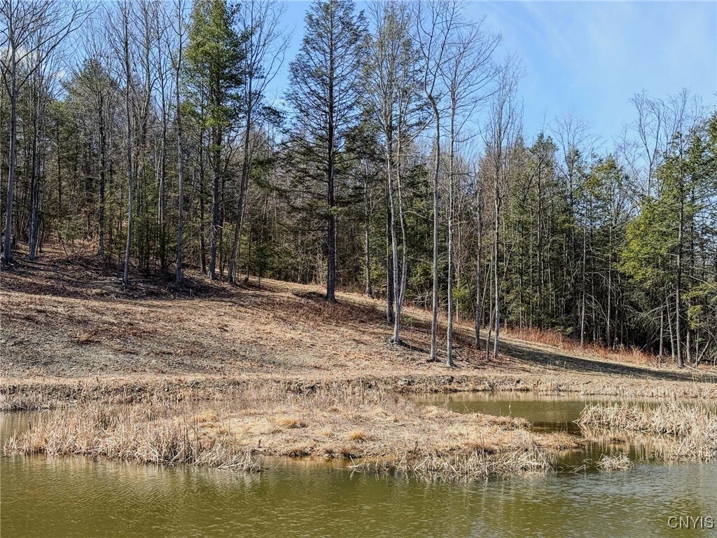 Property Photo: 00 Black Ash Road NY 14898