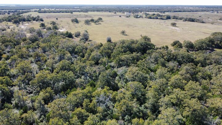 Property Photo:  14727 Private Road 4047  TX 77879