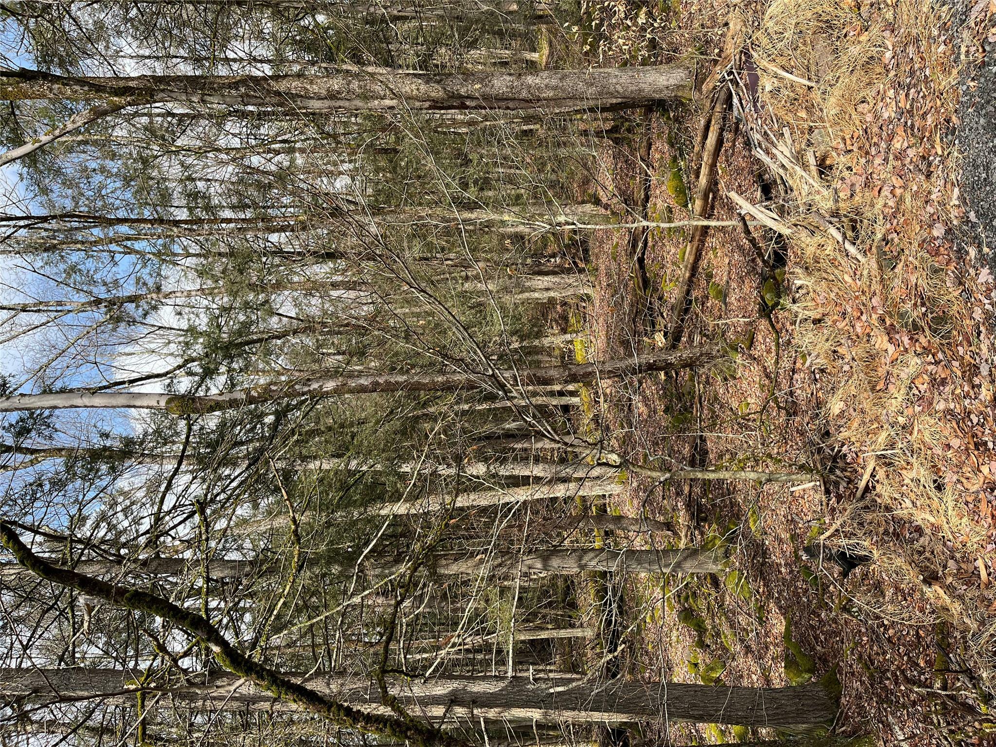 Property Photo: Leins Road, Fallsburg, Ny Leins Road NY 12733