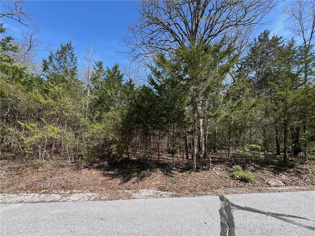 Property Photo:  Tbd Larchwood Drive  AR 72644 