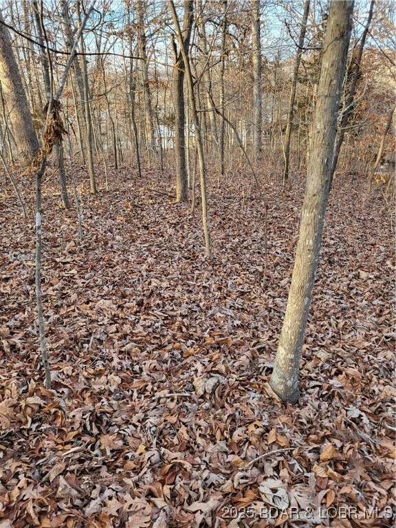 Property Photo: Lazy Acres Lots Road MO 65326