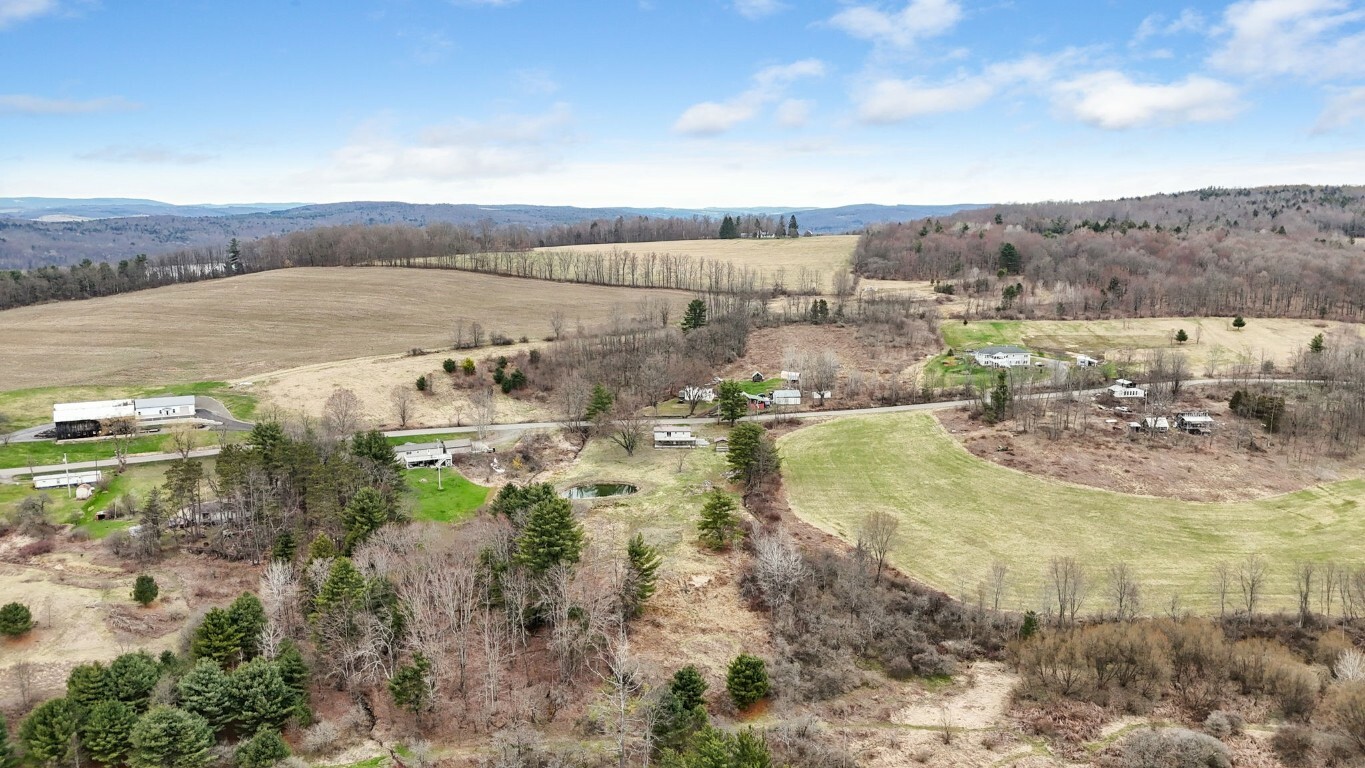 Property Photo:  86 Page Brook Road  NY 13862 