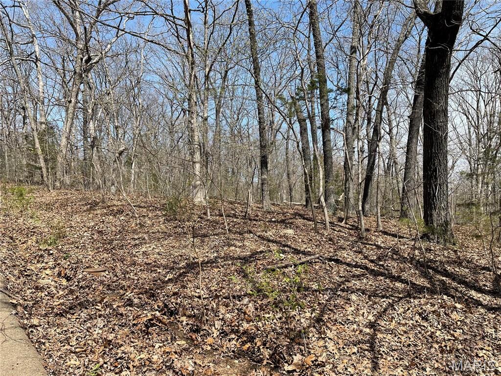 Property Photo: 9352 Pea Ridge Drive MO 63050