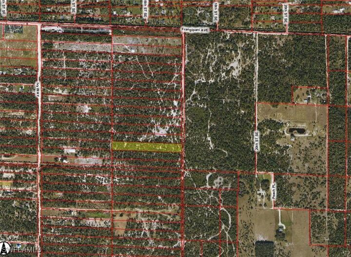 Property Photo: Frangipani Avenue FL 34117