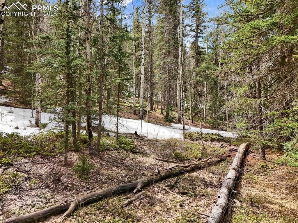 Property Photo:  464 E Bison Creek Trail  CO 80816 