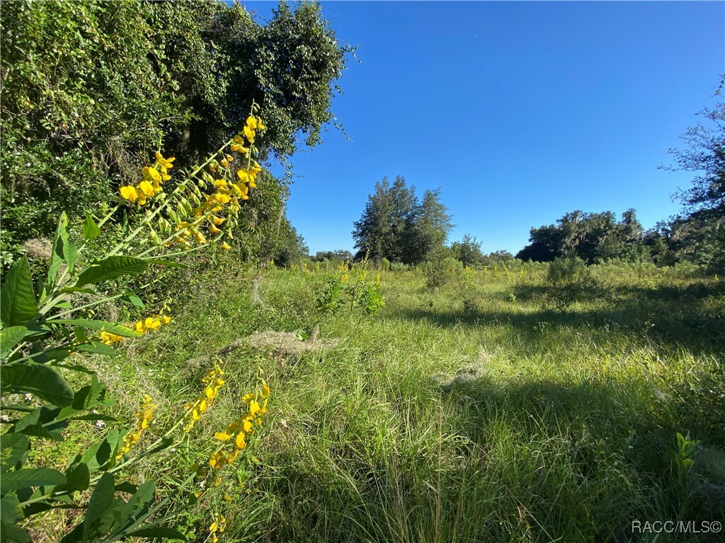 Property Photo: 7373 E Savannah Court FL 34436