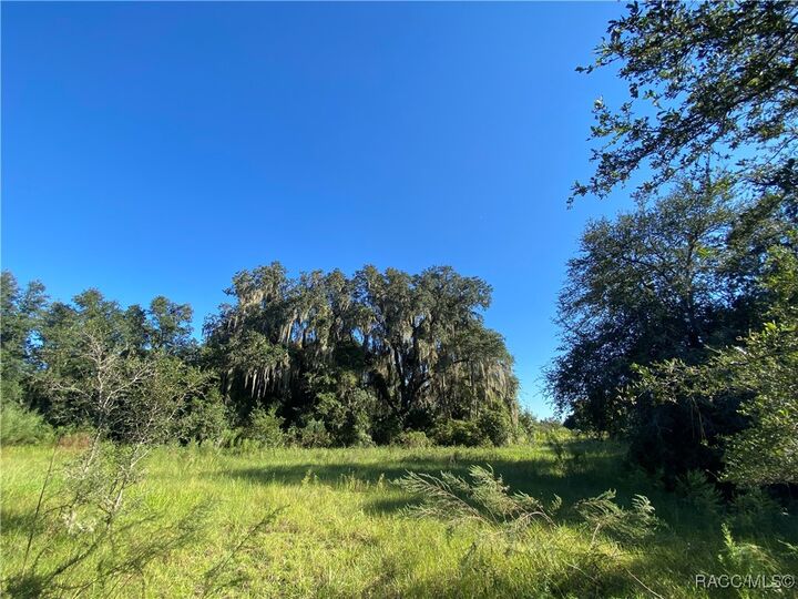 Property Photo:  7373 E Savannah Court  FL 34436 