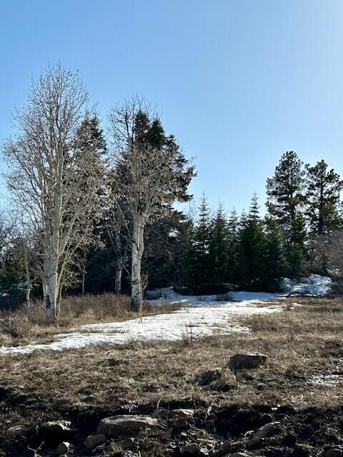 Property Photo:  Lot 19 Whispering Pines Rd 19  UT 84779 