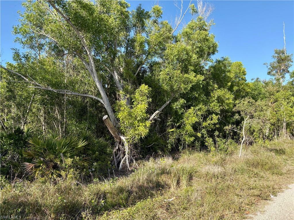 Property Photo: 5664 Sandal Ln FL 33922