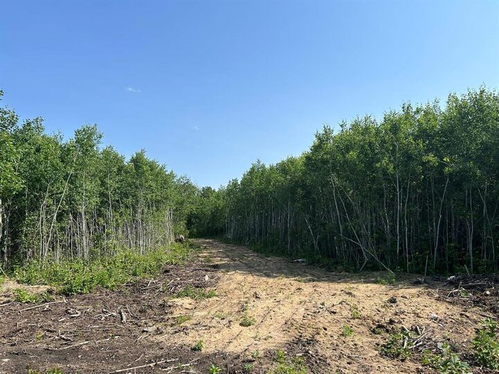 Property Photo: 4 Ironwood Point Road MB R0E 2A0