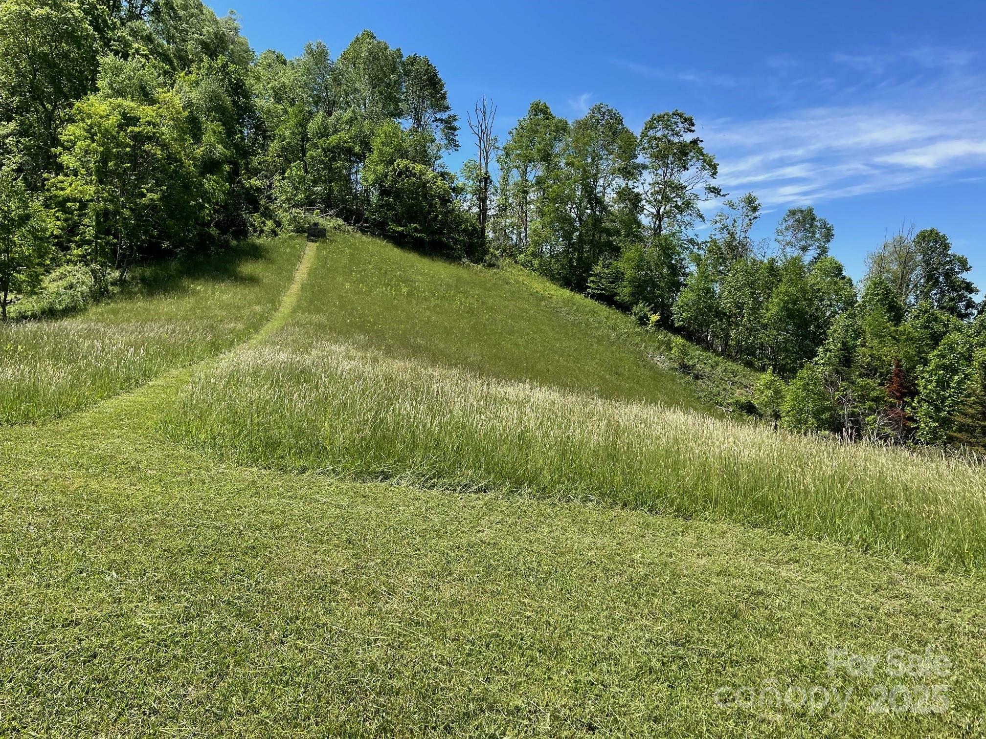 Property Photo: 999 Chestnut Mountain Drive NC 28740