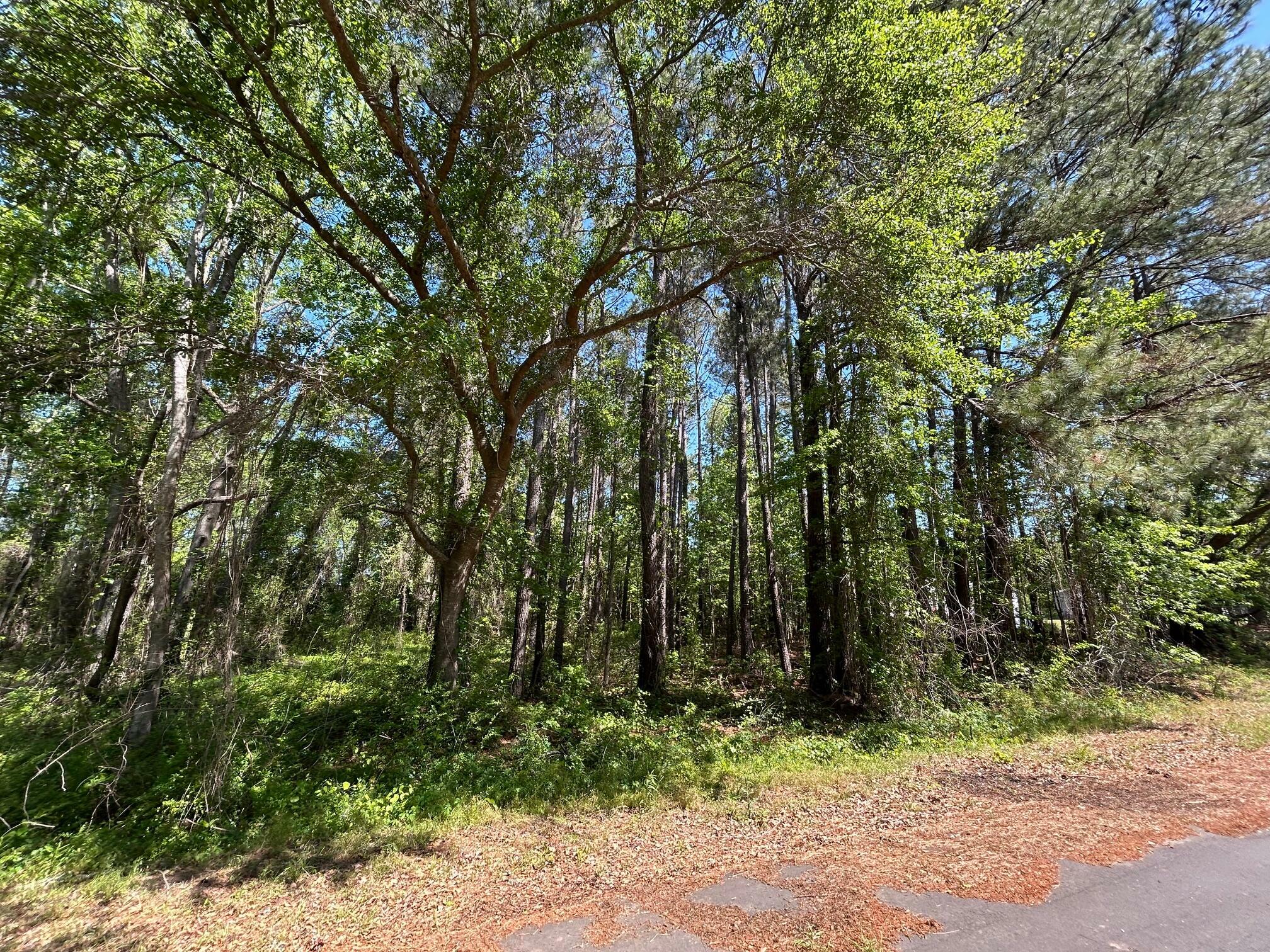 Property Photo: Tbd Dina Montgomery Road SC 29148