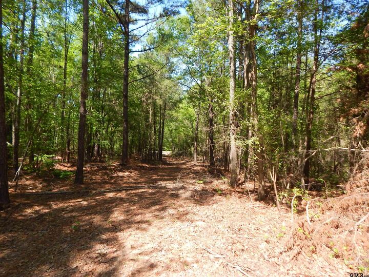 Property Photo: Tbd 15 Acres Fm 1795 Side 2 TX 75755
