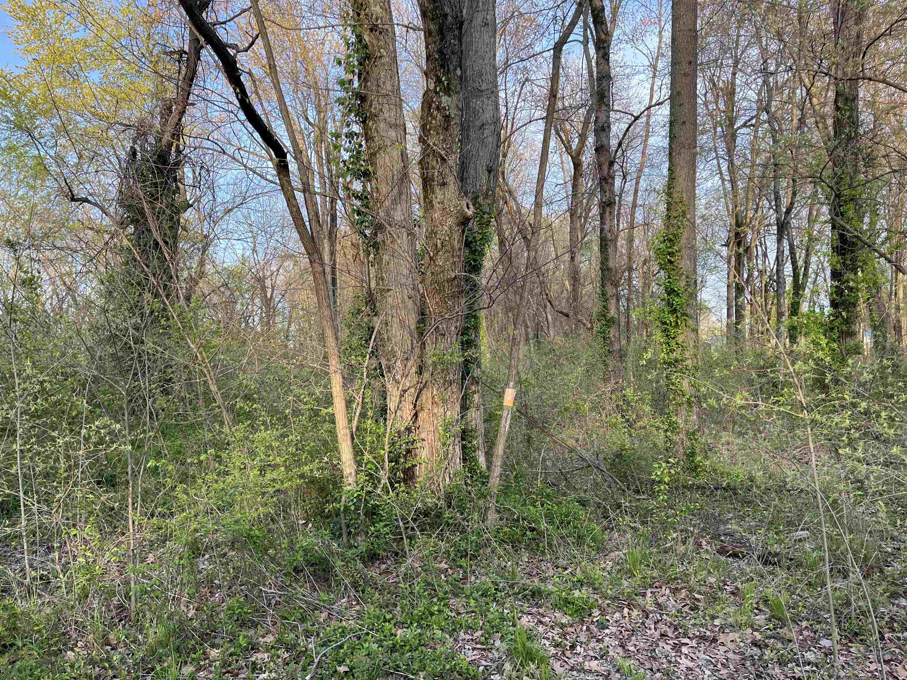 Property Photo: 1742 Burdette Ave. IN 47714