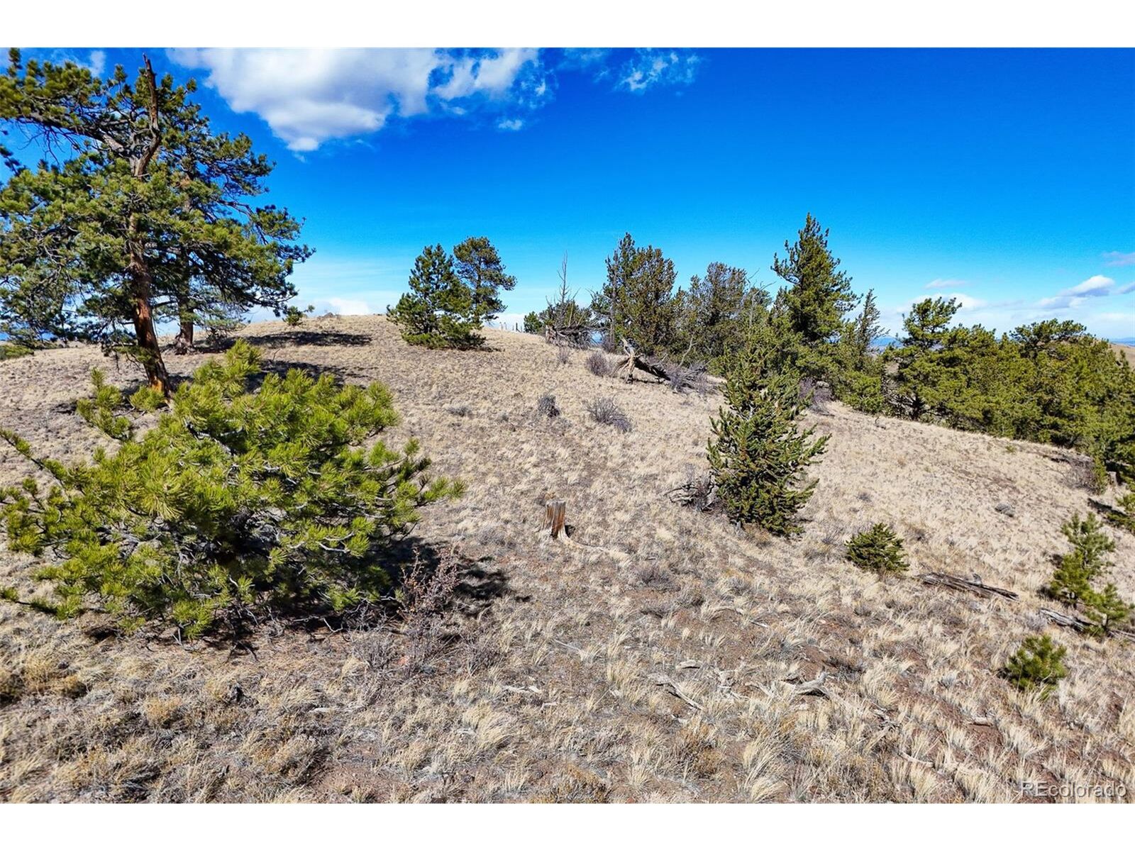 Property Photo: Victor Dr CO 80449