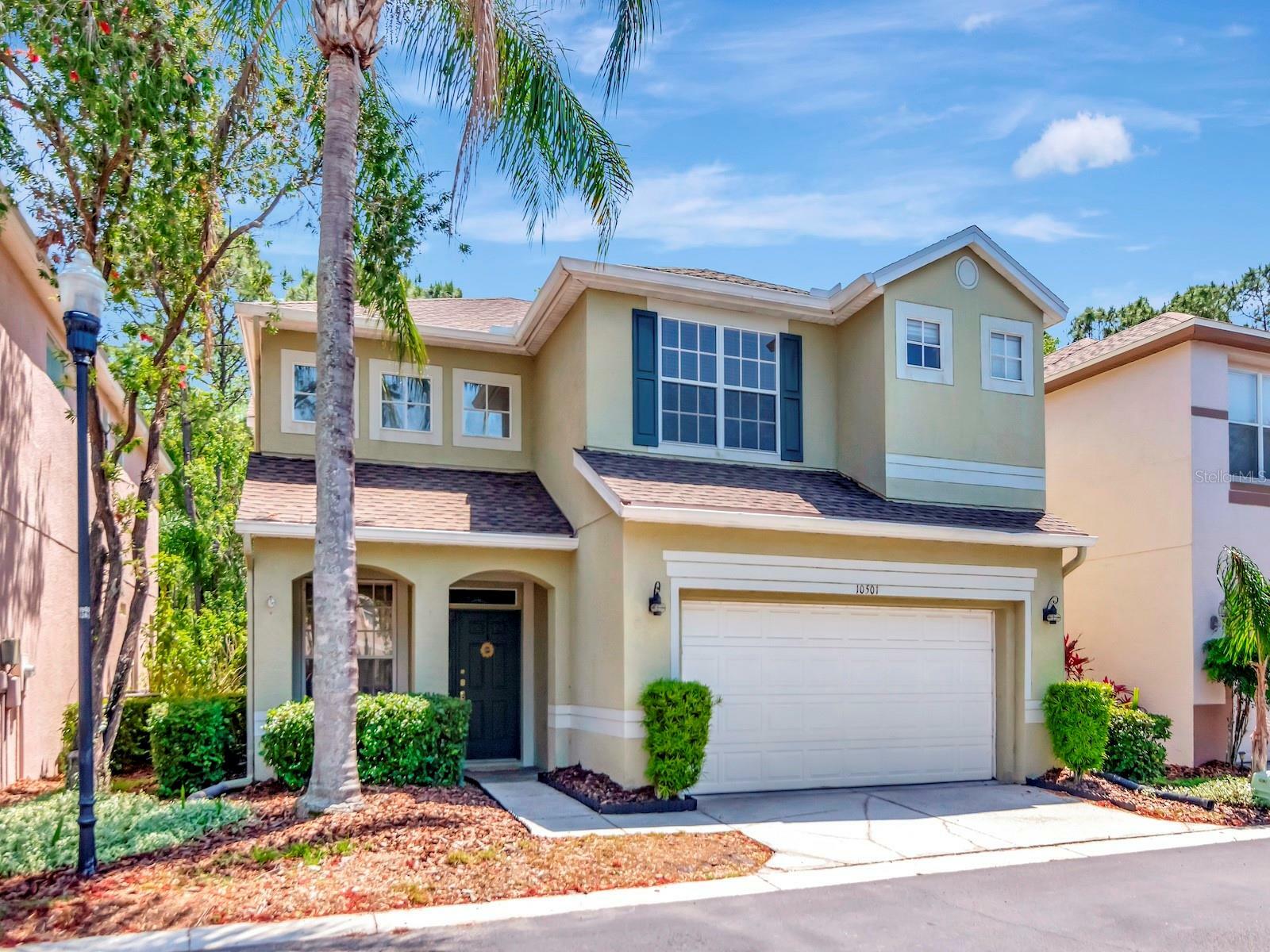 10501 Dotham Court  Tampa FL 33626 photo