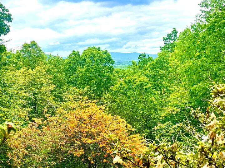 Property Photo: 1571 Mangums Trail GA 30513
