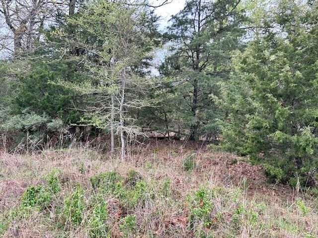 Tbd Fcr 537  Fairfield TX 75840 photo