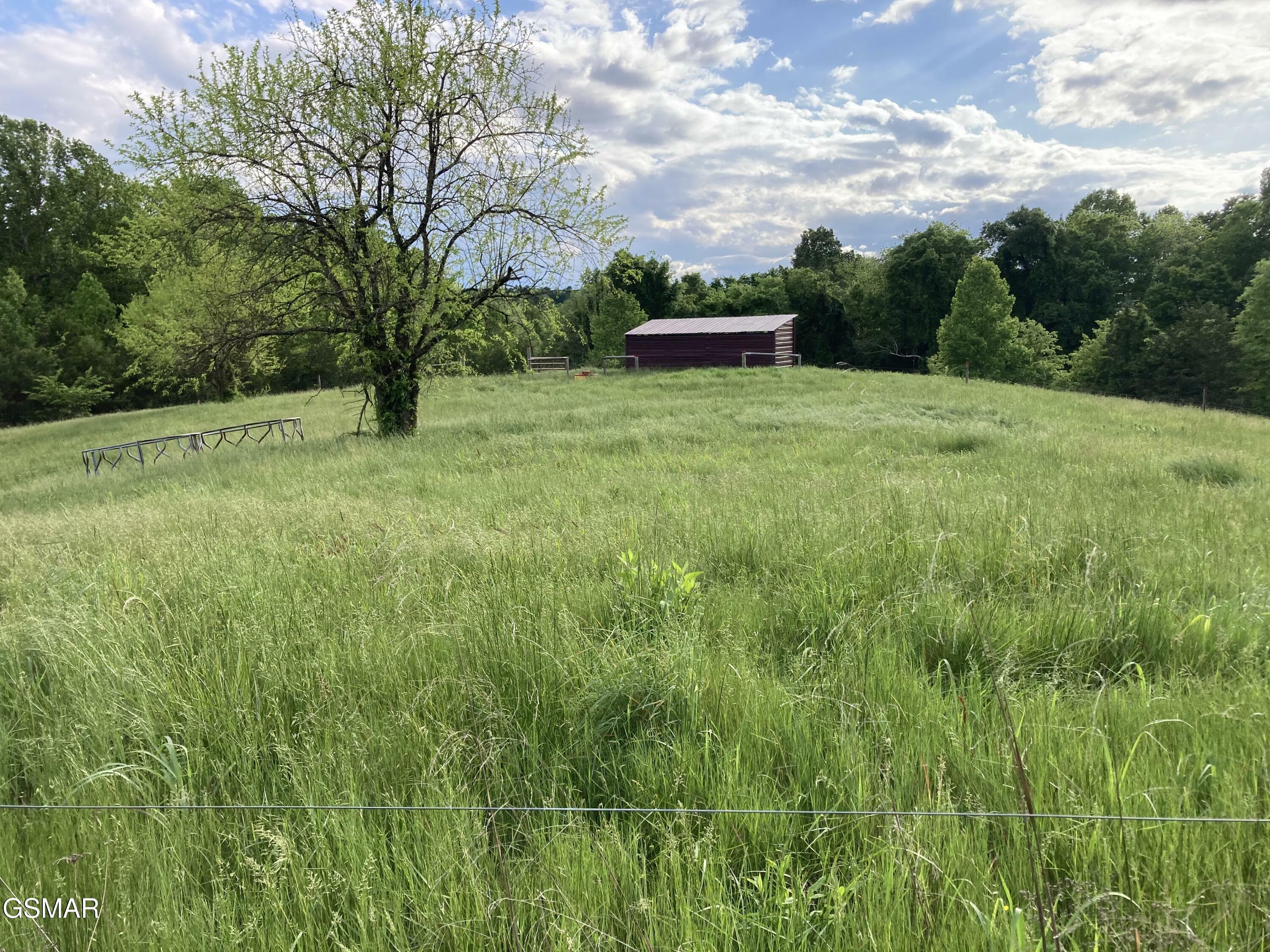 Property Photo: 24.265 S Mohawk Rd TN 37809
