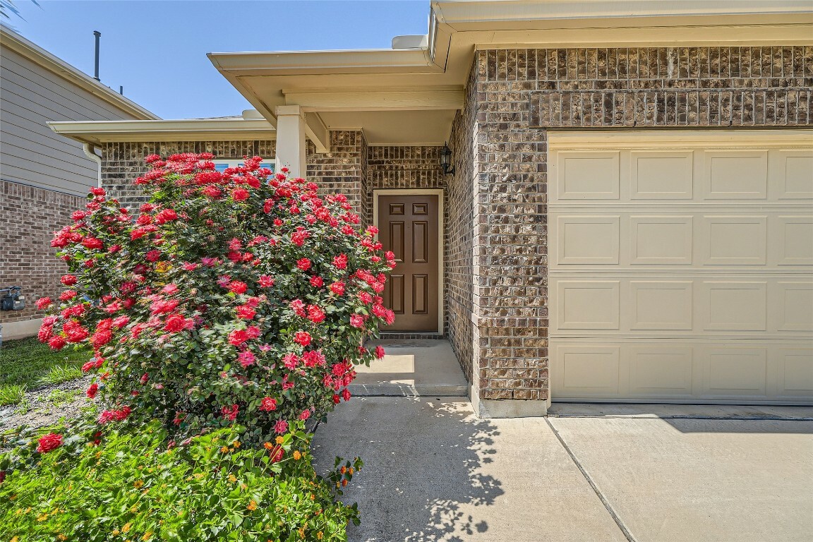 Property Photo: 184 Palm Drive TX 78610