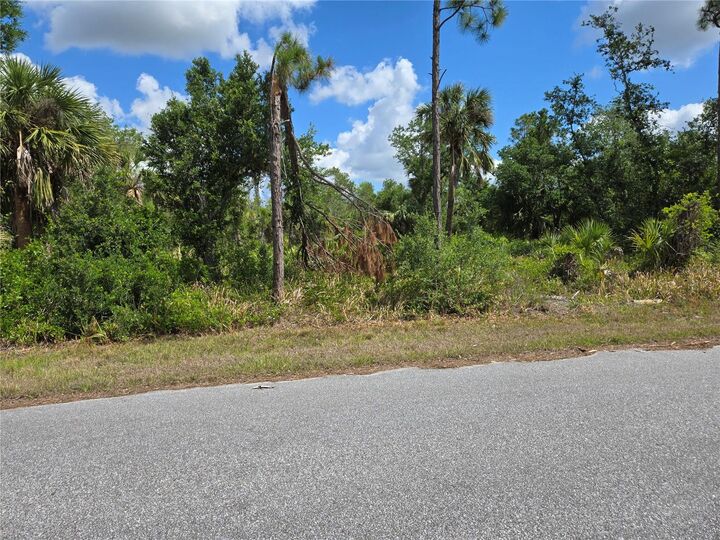 Property Photo:  14432 McMillin Avenue  FL 33953 