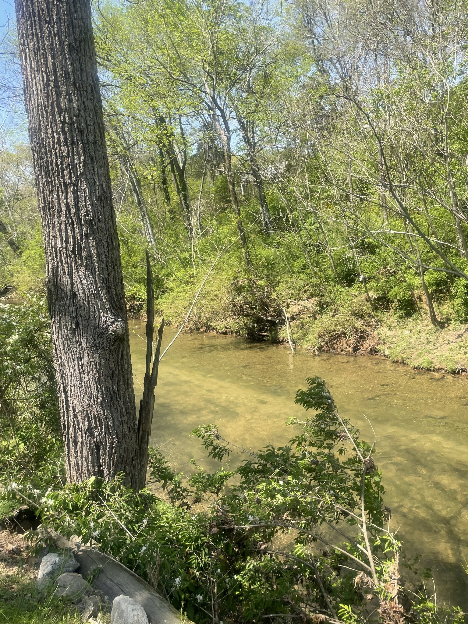 Property Photo: 308 Lee St E TN 38464