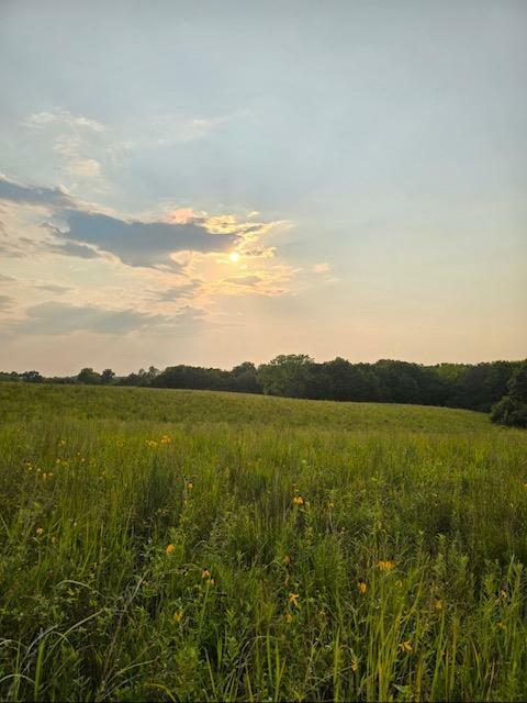 1 Fox Road  Purdin MO 64674 photo