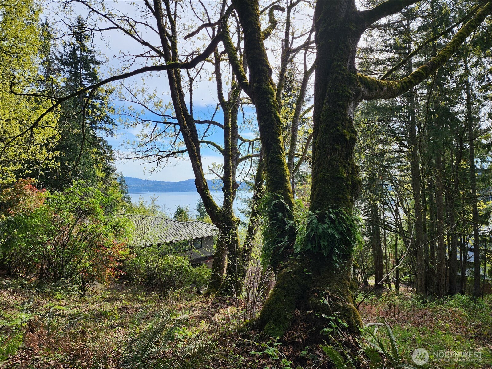 Property Photo: 0 E Lake Sammamish Parkway NE WA 98074