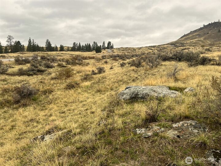 Property Photo: 0 Lot 16 Pine Bluff Road WA 98844