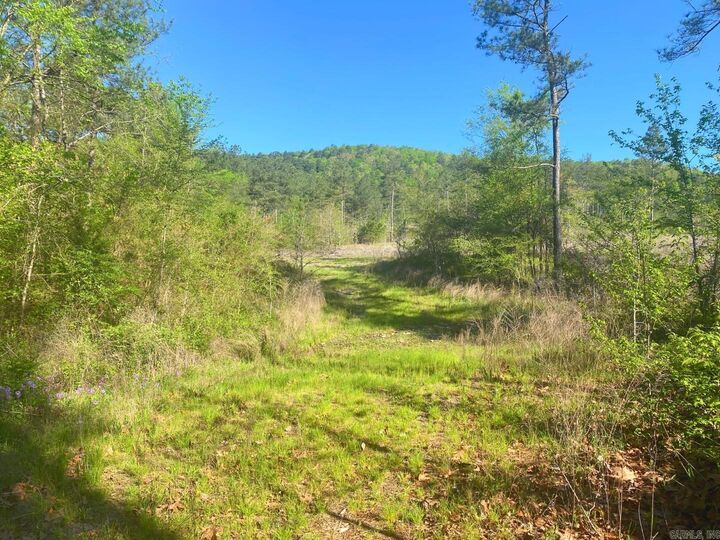 Property Photo:  Tbd Tract 4 Cedar Creek Road  AR 71901 