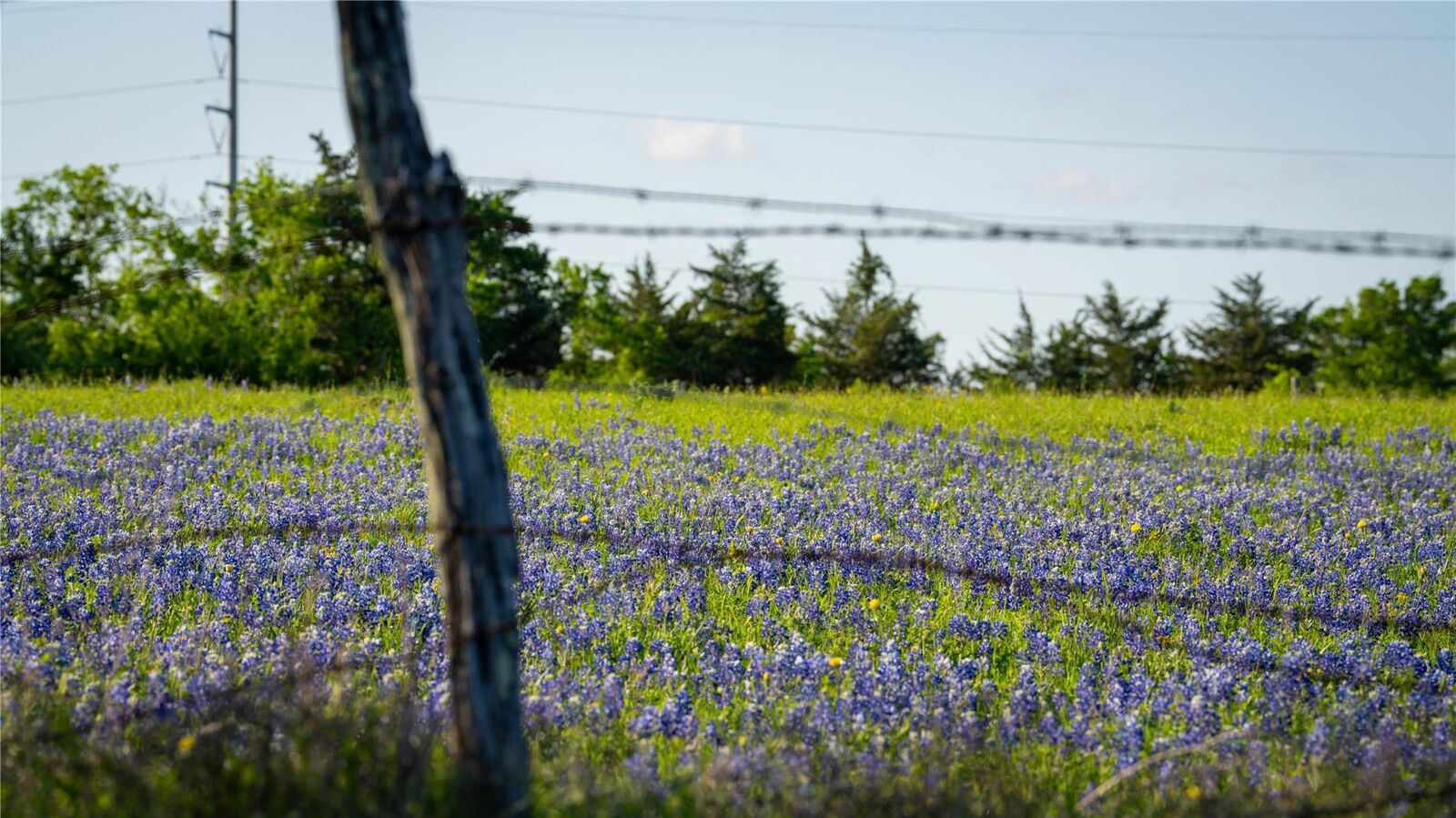 Property Photo: 1070 Muehr Road TX 78962