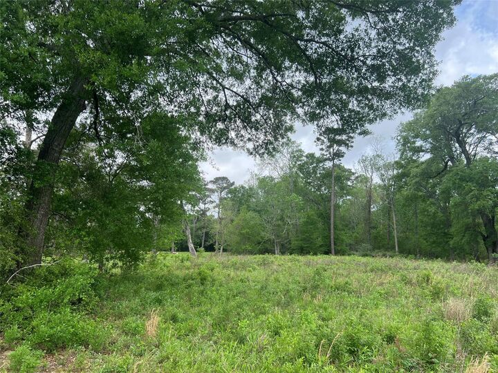 Property Photo:  000 N Mlk Drive  TX 77575 