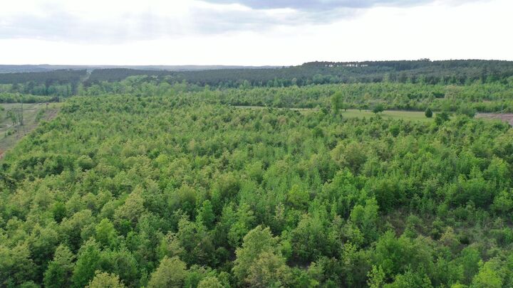 Property Photo:  695 County Road 1463  TX 75656 