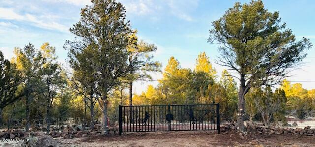 Property Photo: 126 E Greenbriar Drive AZ 86046