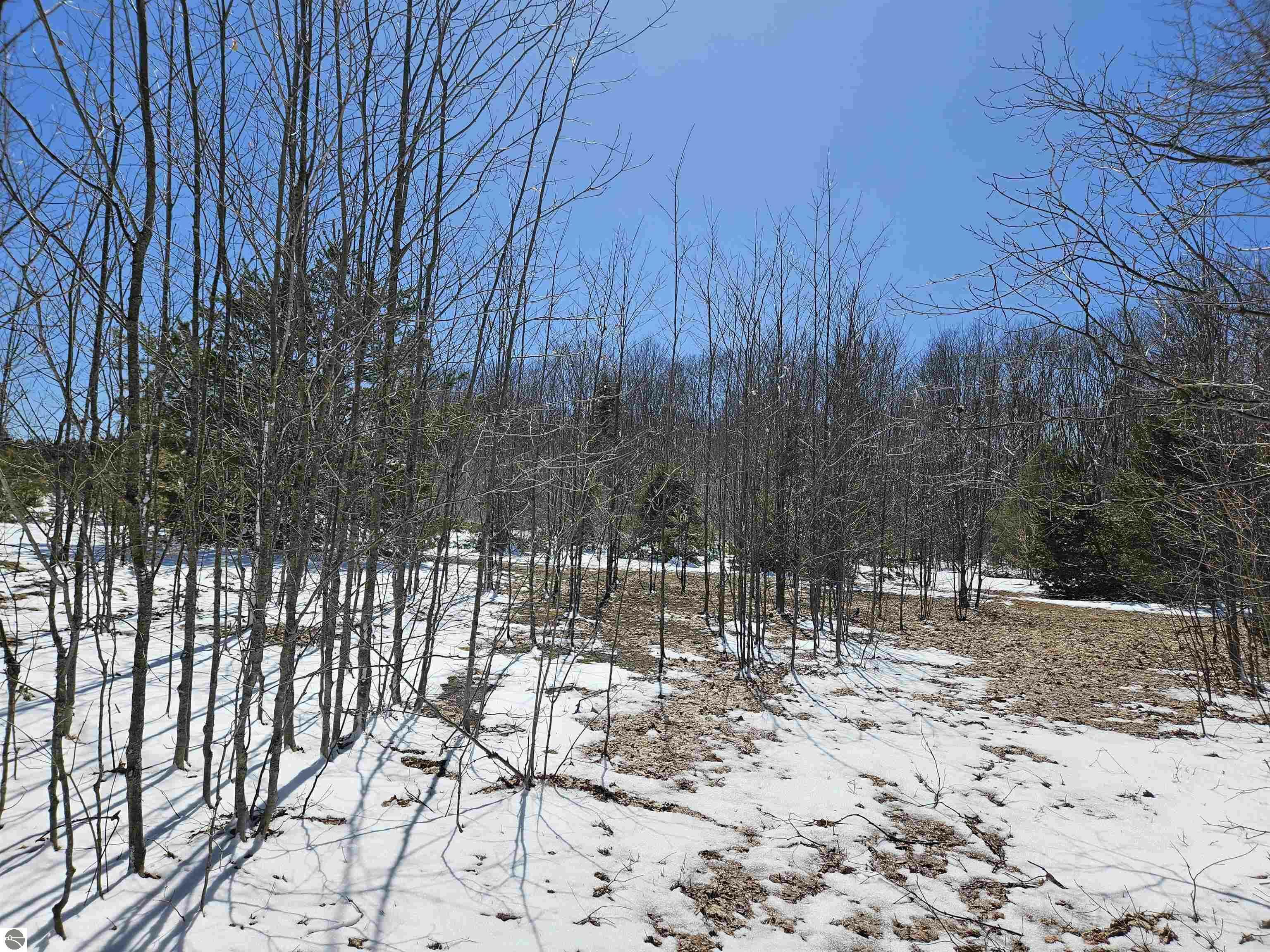 Property Photo: 0000 V/L "D" Grass Lake Road MI 49646