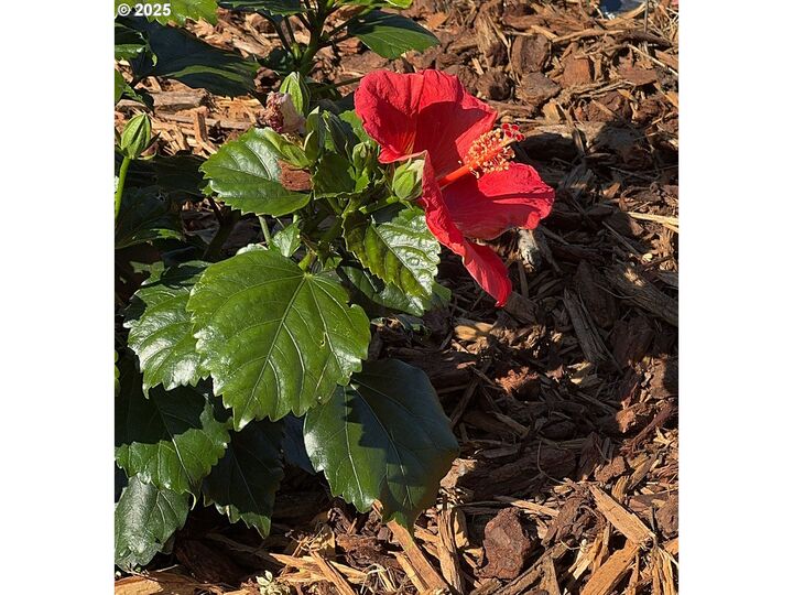 Property Photo: 16391 S Hwy 101 24 OR 97415