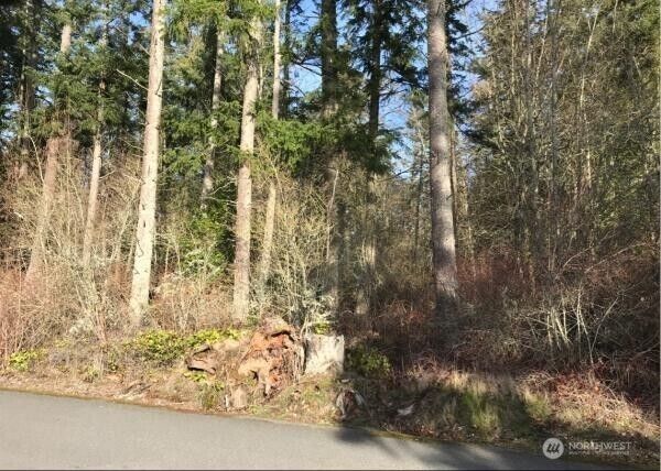 0  Parkview Lane  Camano Island WA 98282 photo