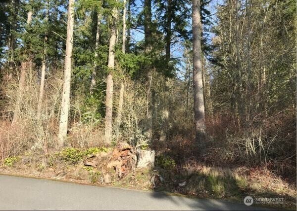 Property Photo: 0 Parkview Lane WA 98282