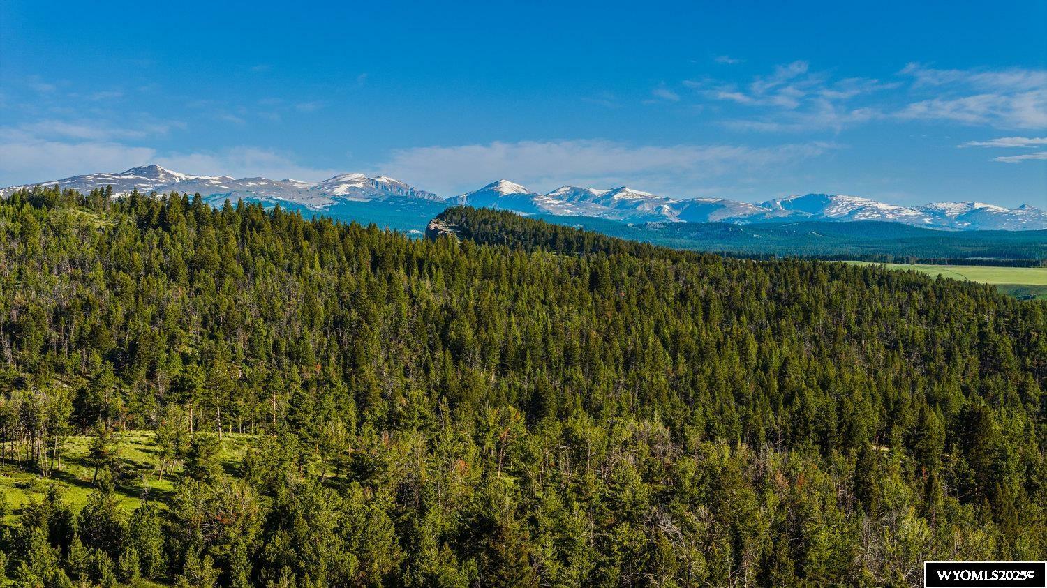 Property Photo:  22 High Meadow Road  WY 82834 