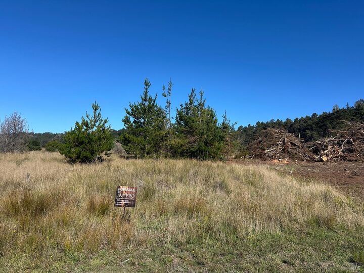 Property Photo:  135 Shepherds Close  CA 95497 